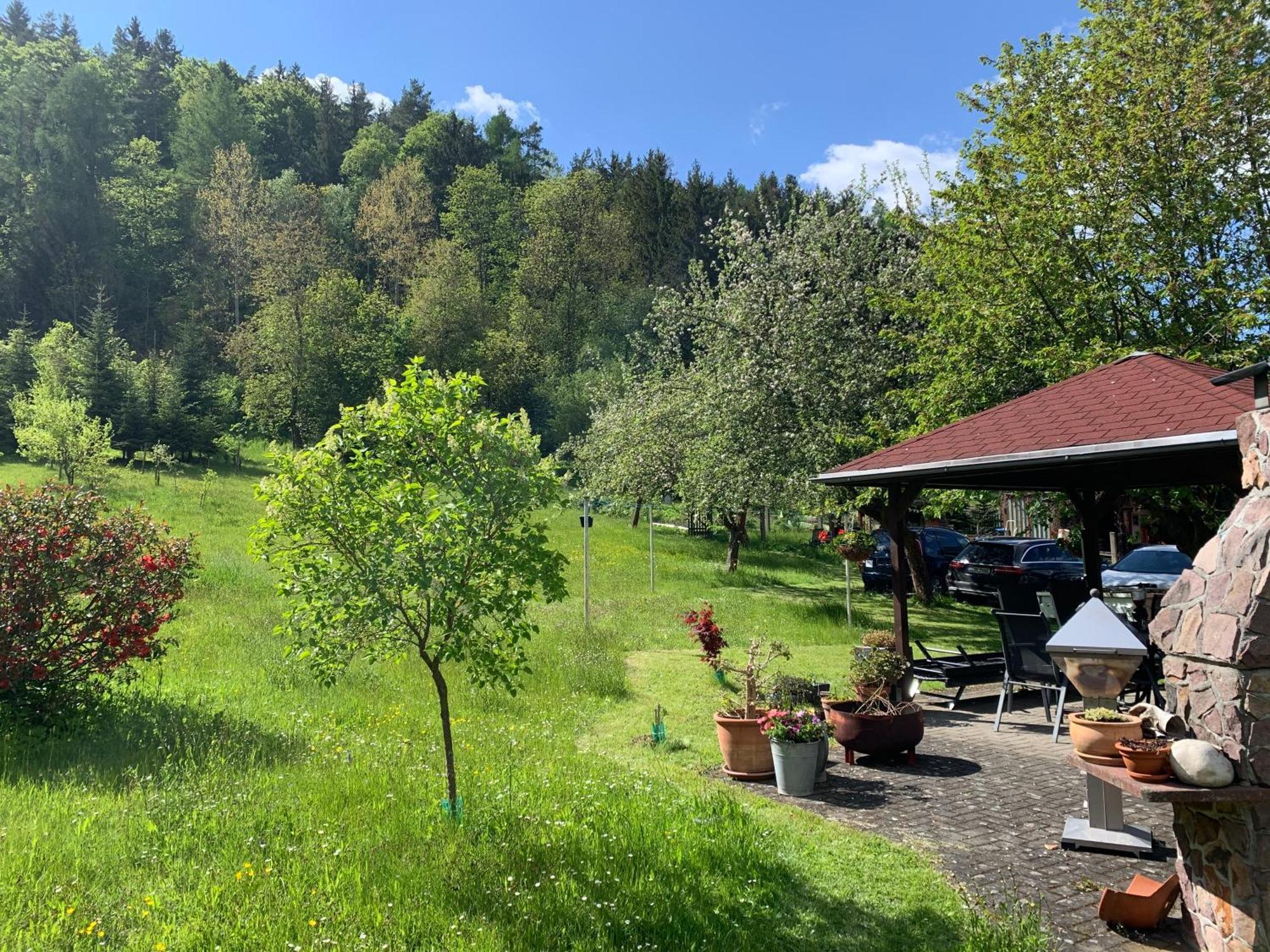 ホテル Haus Sonnenwalde - Familie Ruhe Rohrbach  エクステリア 写真