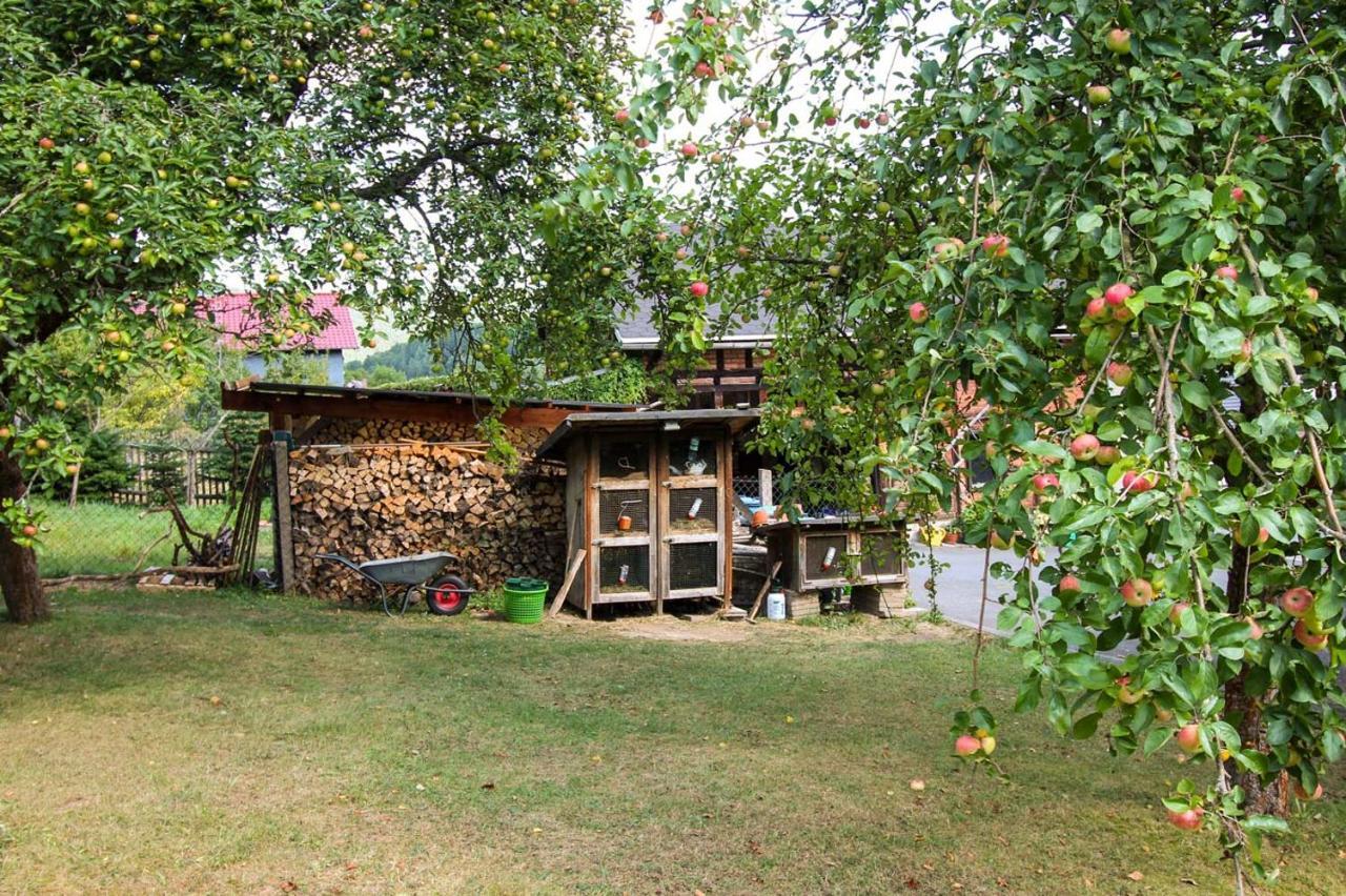 ホテル Haus Sonnenwalde - Familie Ruhe Rohrbach  エクステリア 写真